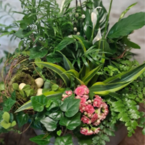 Spring Sanctuary
