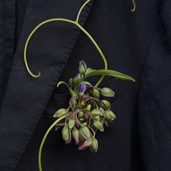Small boutonniere with green buds and purple accents on a dark jacket