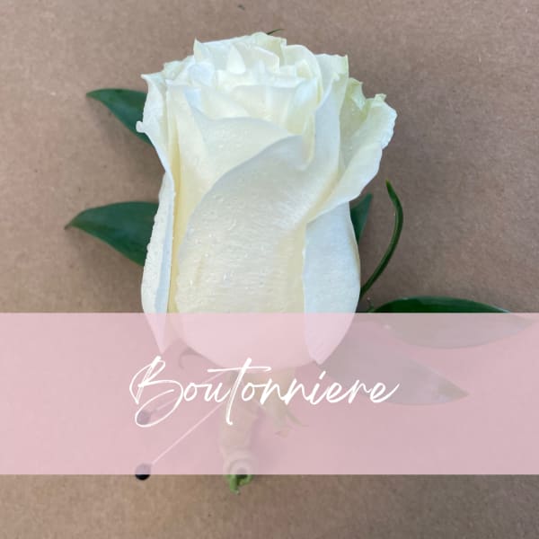White rose boutonniere with green leaves on a brown background