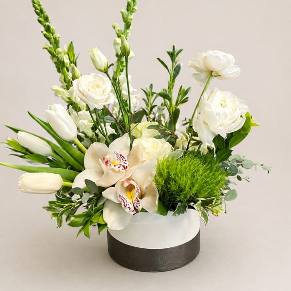 Grace in Bloom