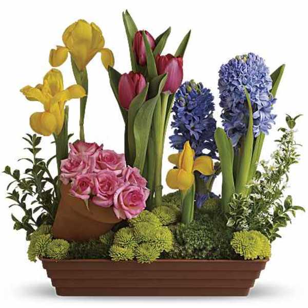 Spring Favorites