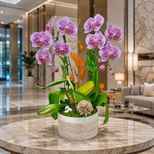 Pink orchid arrangement in a white ceramic pot on a marble table