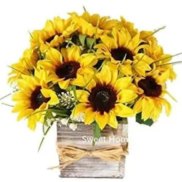 Simply Sun Box