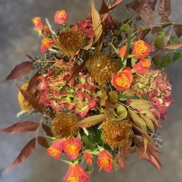 Protea