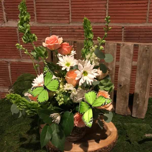 Spring Has Sprung