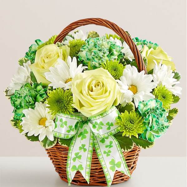 Basket of white daisies, pale yellow roses, and green carnations with a shamrock ribbon