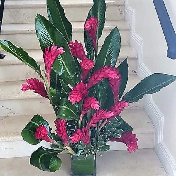 Tall tropical arrangement with bright pink flowers and large green leaves in a square glass vase
