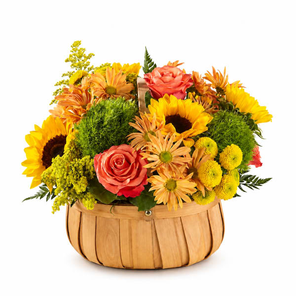 Basket arrangement with sunflowers, roses, and yellow mums