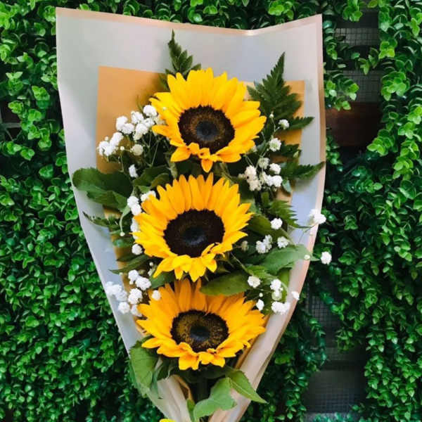 Bouquet of three sunflowers with baby's breath and ribbon wrap