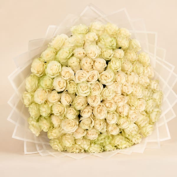Large bouquet of cream and pale yellow roses wrapped in translucent paper