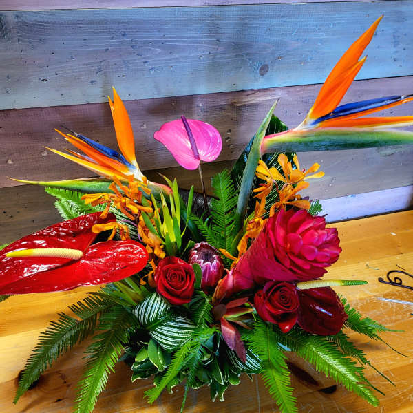 Tropical love