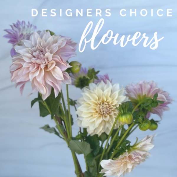 Pastel pink and cream dahlia stems against a light blue background