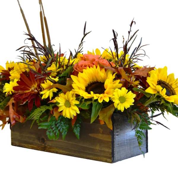 Harvest Blooms