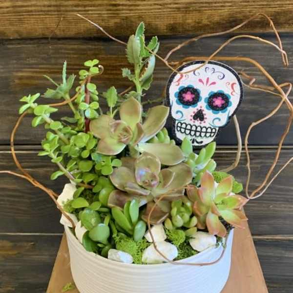 The Scottsdale Succulent Bowl