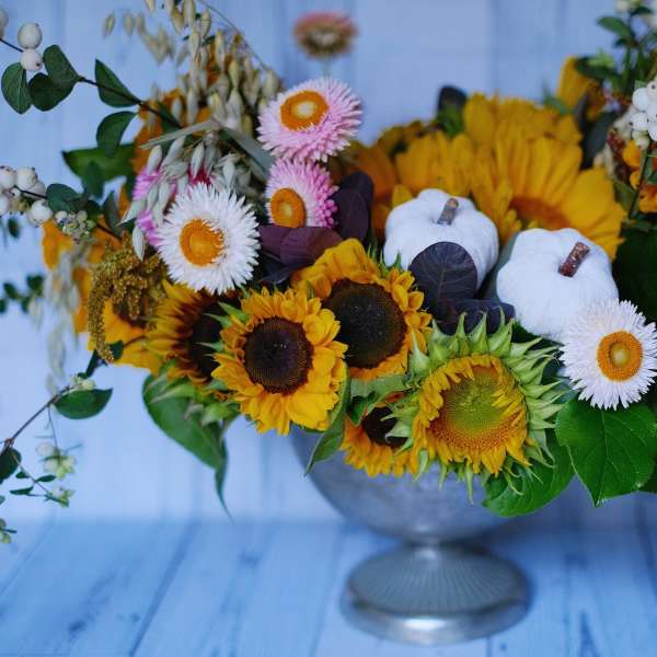 Sunflowers Dance