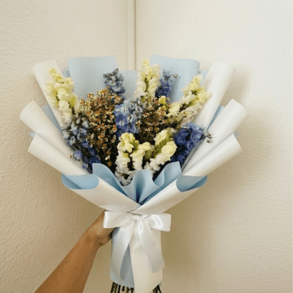Baby Blue