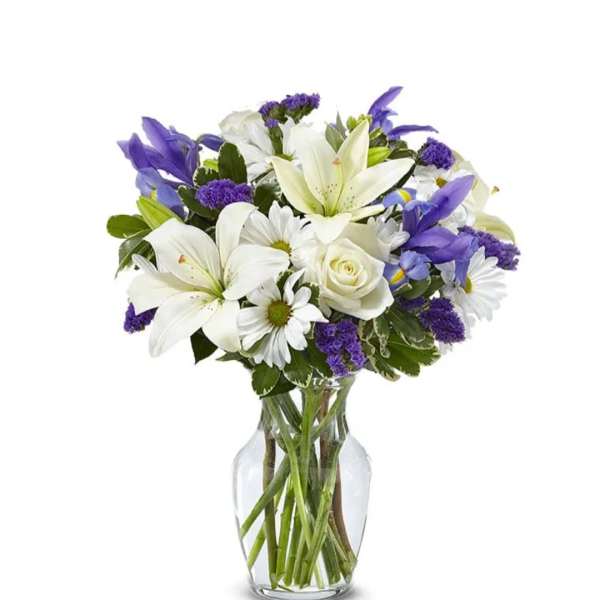 Blue Iris #007