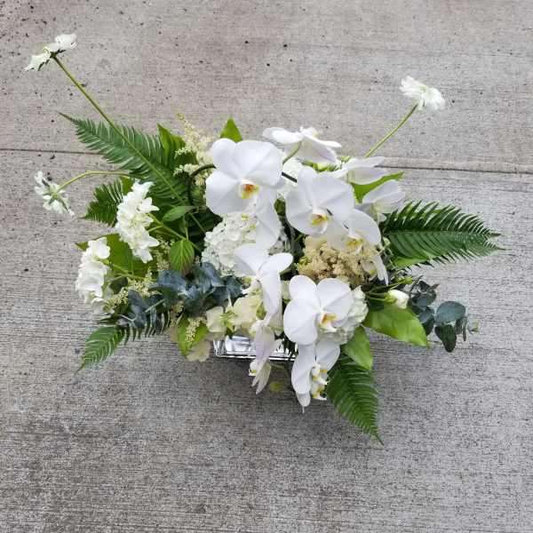Low arrangement of white orchids and other white flowers with lush greenery in a rectangular silver container
