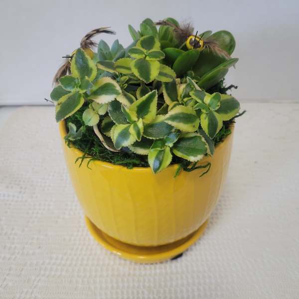 Bumblebee Yellow