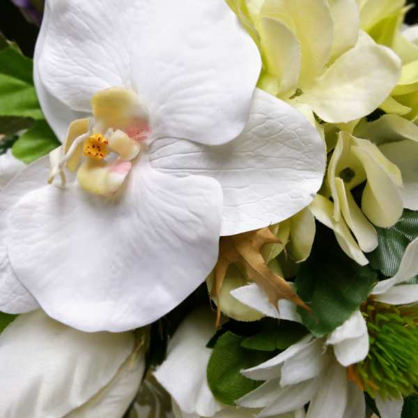 Close-up of white orchid blooms with pale green flowers