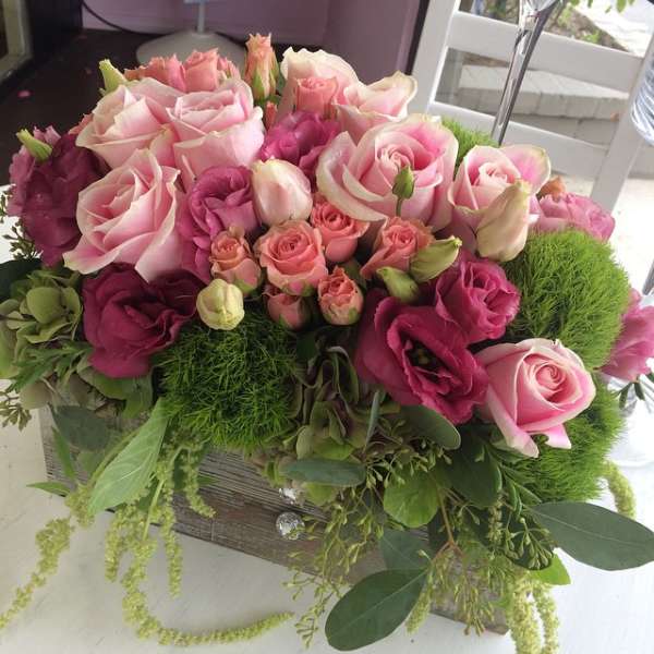 Boxed blooms