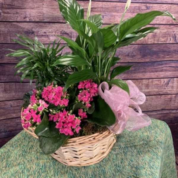 European Basket Garden
