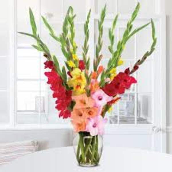 Tall mixed bouquet in a clear glass vase with red, yellow, orange, and pink flowers