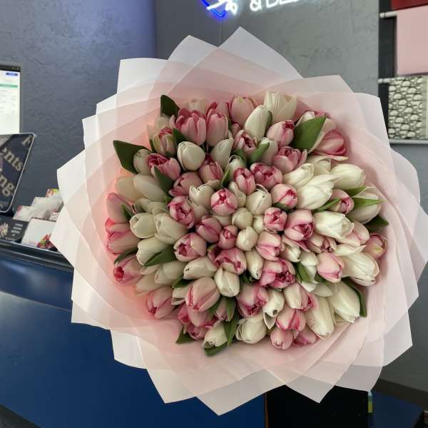 Large bouquet of pink and white tulips wrapped in pale pink paper