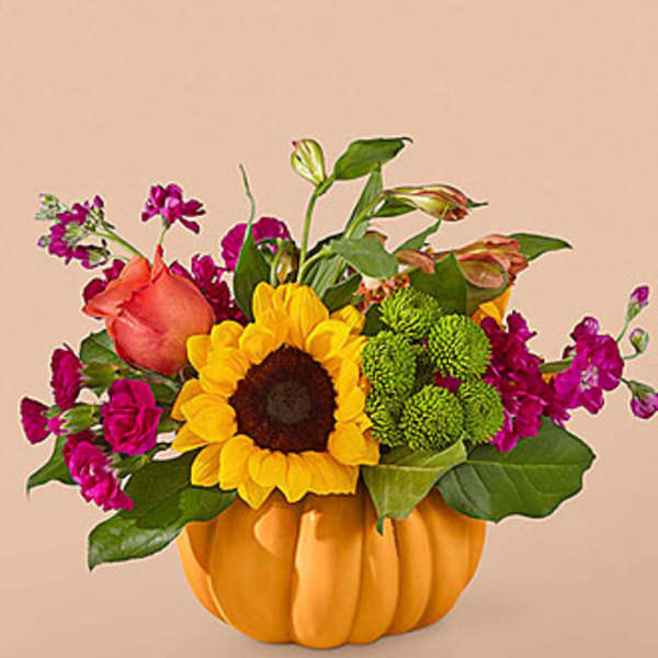 ***PUMPKIN WILL BE WHITE*** Bippity Boppity Pumpkin