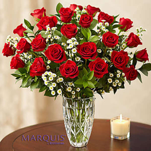 Red roses