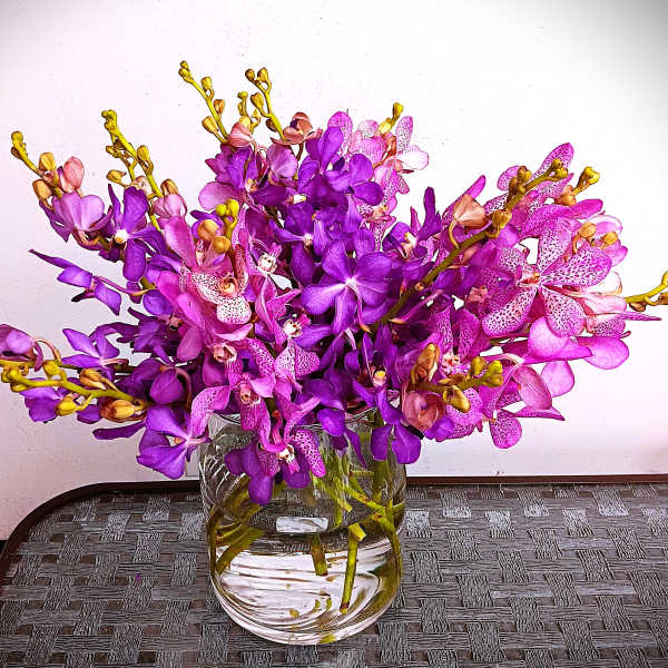 Purple orchids arranged in a clear glass vase