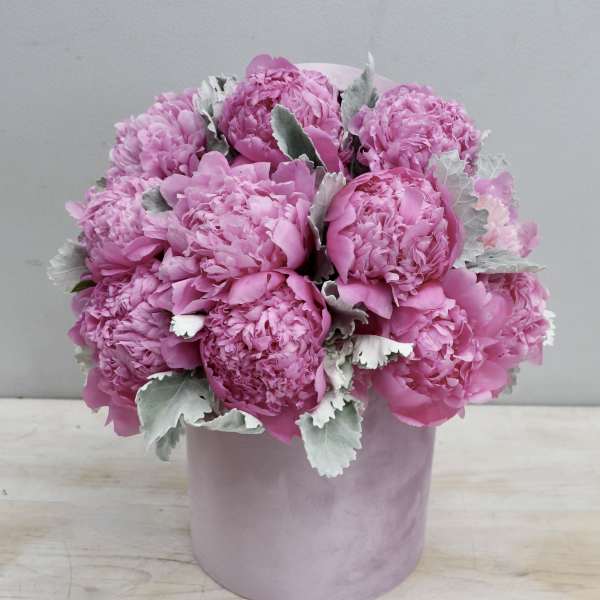 Pink peony arrangement in a round pale pink hatbox-style container with soft silvery foliage.