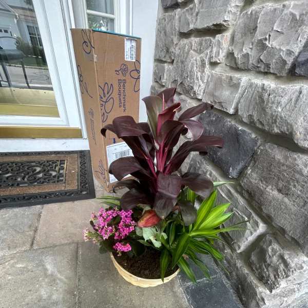 SIMPATY GARDEN