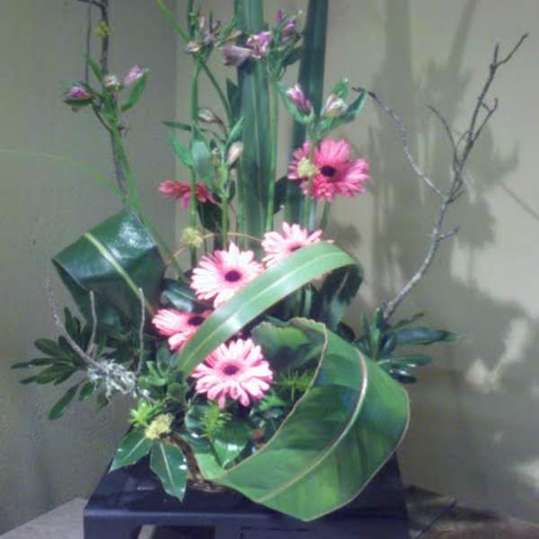 Tall floral arrangement with pink gerbera daisies and long green leaves in a black container