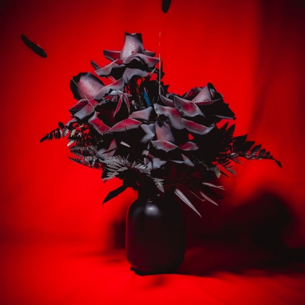 Liliths Love - Halloween Collection