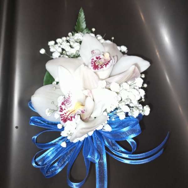 Blue orchid Dream