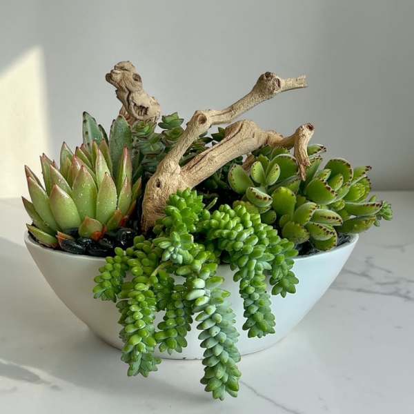 Garden bowl