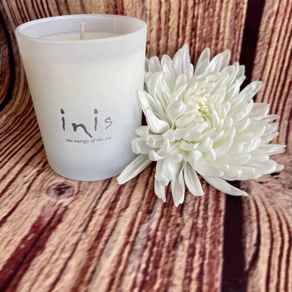 White candle in a frosted glass holder beside a white chrysanthemum bloom