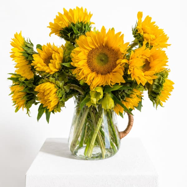 Bouquet of yellow sunflowers in a clear glass pitcher vase