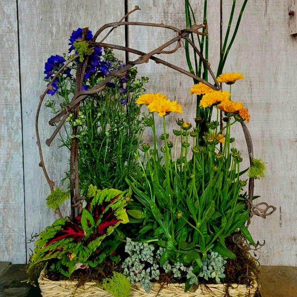Basket planter with yellow and blue flowers and mixed foliage
