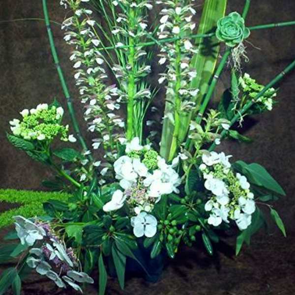 Tall floral arrangement with white orchids and green accents