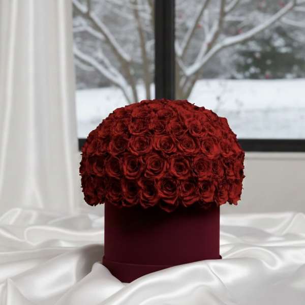Red rose dome in a burgundy box on white satin