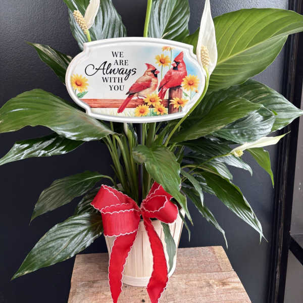 Elegant Peace Lily with garden stake in basket - "Always with you"