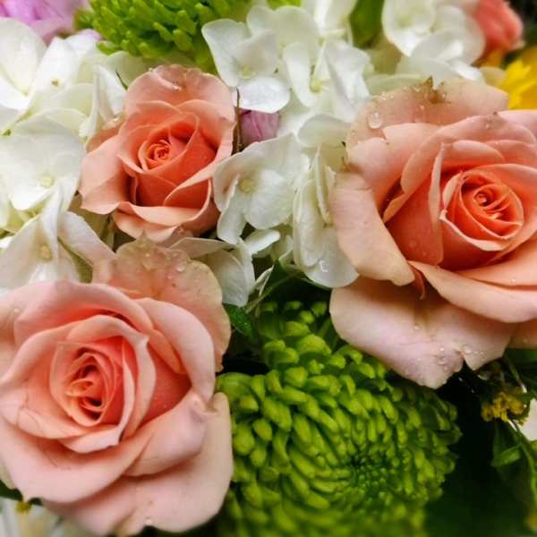 Close-up bouquet of peach roses and white hydrangeas with green mums
