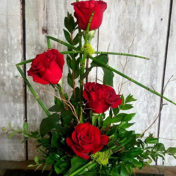 Red roses arranged in a white vase with green foliage