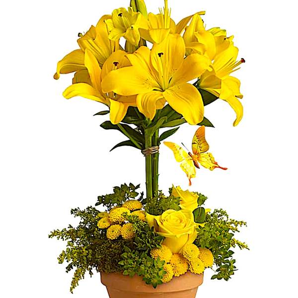 Yellow lilies and roses arranged in a terracotta pot with a butterfly accent.