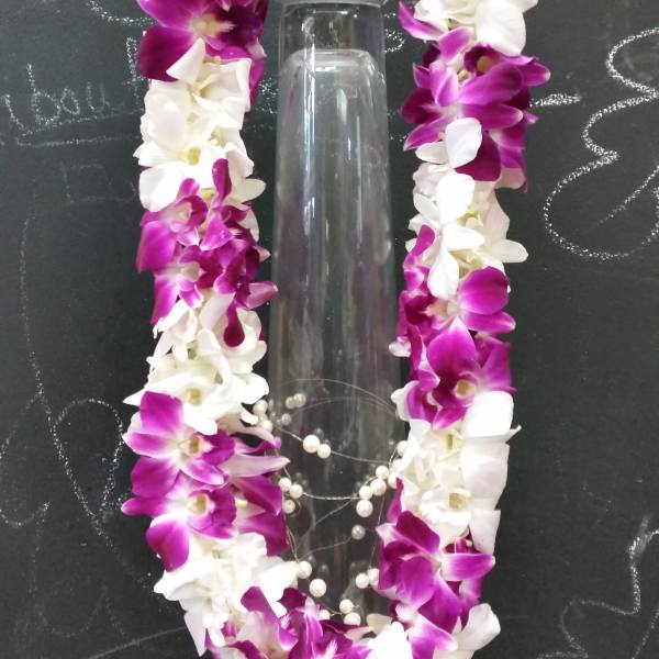 Leis for Congrat!