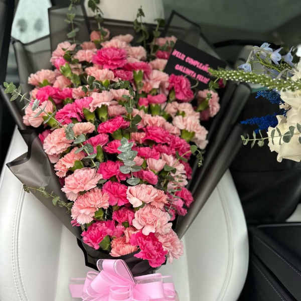 Carnations Galore!