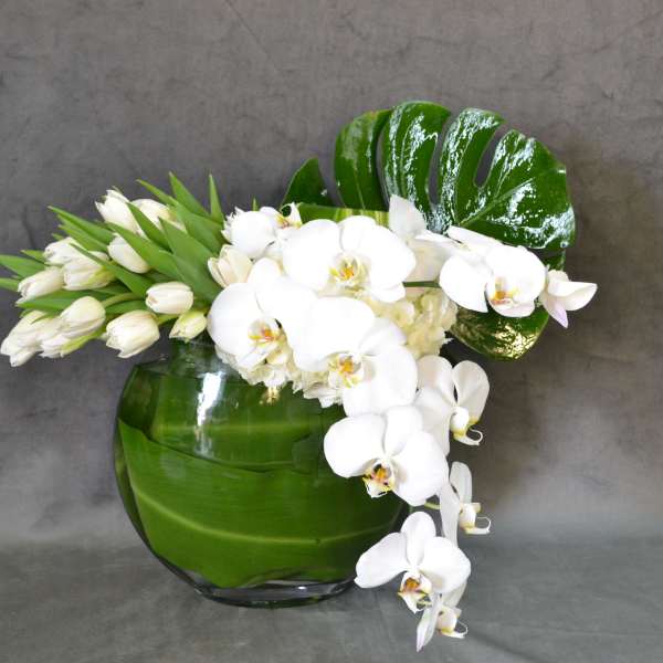 softly whites