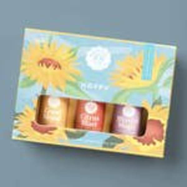 Sunflower-patterned gift box holding three small colored bottles on a gray surface